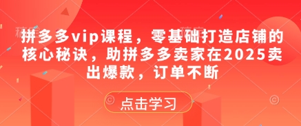 拼多多vip课程，零基础打造店铺的核心秘诀，助拼多多卖家在2025卖出爆款，订单不断_中创网,自媒体短视频教学_网创项目_网络创业无忧资源网