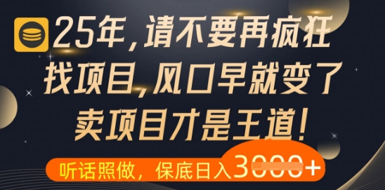 什么？25年你还在疯狂找项目做，醒醒吧，看完这些你全都懂了【揭秘】_中创网,自媒体短视频教学_网创项目_网络创业无忧资源网