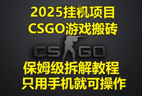 2025挂G项目，CSGO游戏搬砖，保姆级拆解教程，只用手机就可操作【揭秘】_中创网,自媒体短视频教学_网创项目_网络创业无忧资源网