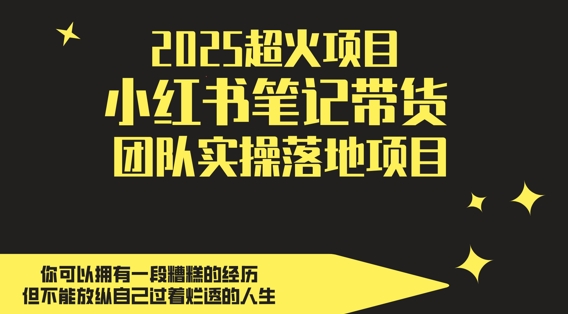 2025超火项目，副业最佳选择，小红书笔记带货团队实操落地项目，，轻松日入5张_中创网,自媒体短视频教学_网创项目_网络创业无忧资源网