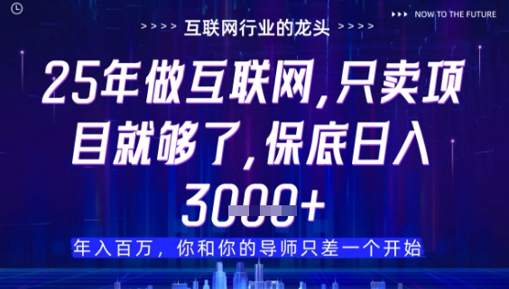 什么！25年你还在找项目做？风口早就变了，卖项目才是稳挣不赔【揭秘】_中创网,自媒体短视频教学_网创项目_网络创业无忧资源网