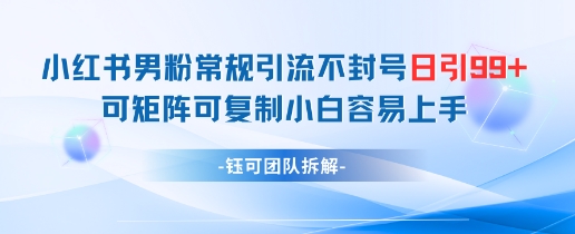 小红书男粉常规引流不封号日引99+变现简单 可矩阵可复制小白容易上手_中创网,自媒体短视频教学_网创项目_网络创业无忧资源网