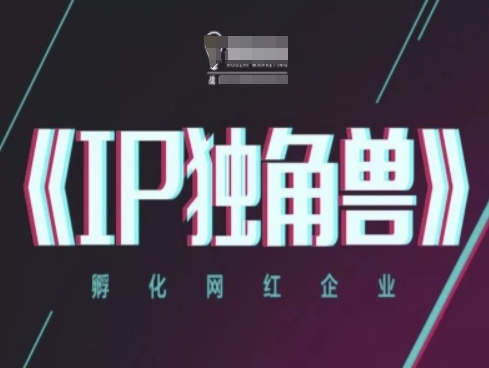 IP独角兽，孵化网红企业，ip教程_中创网,自媒体短视频教学_网创项目_网络创业无忧资源网