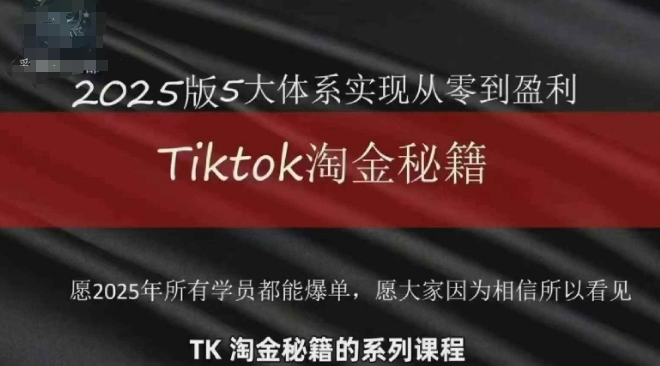 TikTok跨境2025淘金秘籍，​2025TikTok从0到盈利变现_中创网,自媒体短视频教学_网创项目_网络创业无忧资源网