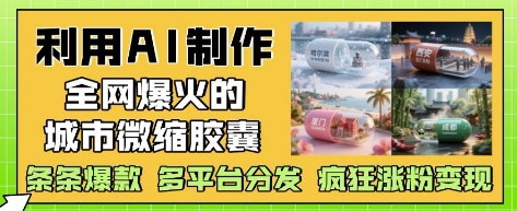 利用AI制作全网爆火的城市微缩胶囊，条条爆款， 多平台分发，疯狂涨粉变现_中创网,自媒体短视频教学_网创项目_网络创业无忧资源网