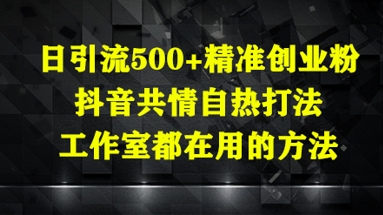 日引流500+精准创业粉，抖音共情自热打法，工作室都在用的方法_中创网,自媒体短视频教学_网创项目_网络创业无忧资源网