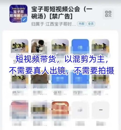 宝子哥头部团队短视频带货，以混剪为主，不需要真人出镜，不需要拍摄【更新】_中创网,自媒体短视频教学_网创项目_网络创业无忧资源网