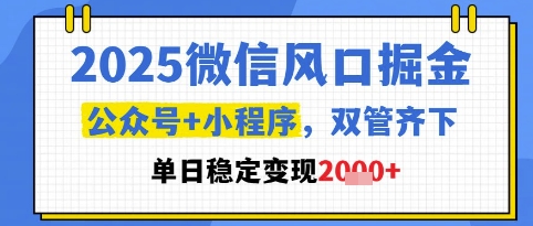 2025微信风口掘金，公众号+小程序双管齐下，单日稳定变现1k+【揭秘】_中创网,自媒体短视频教学_网创项目_网络创业无忧资源网
