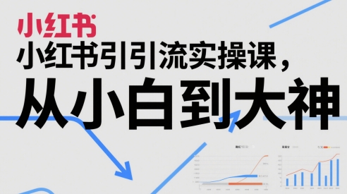 小红书引流实操课，从小白到大神_中创网,自媒体短视频教学_网创项目_网络创业无忧资源网