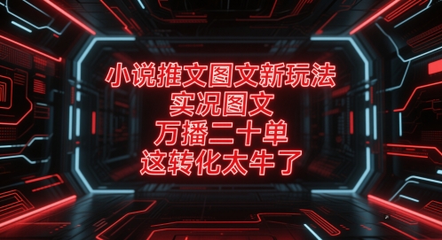 小说推文图文新玩法，实况图文，万播二十单，这转化太牛了！_中创网,自媒体短视频教学_网创项目_网络创业无忧资源网